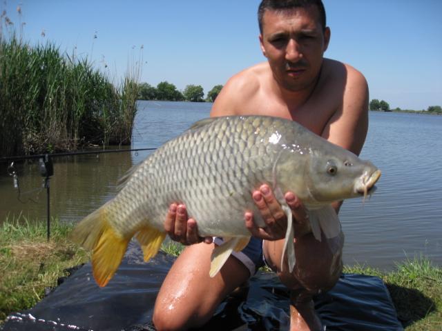 Pasiune - img1676.JPG